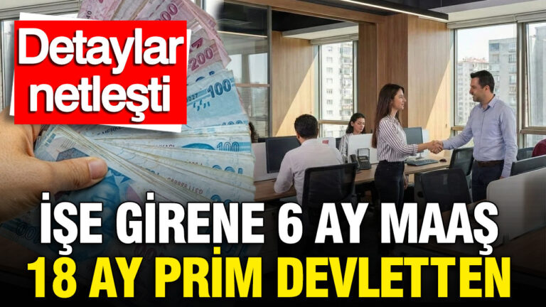 genc-istihdam-hamlesinin-detaylari-netlesti-ise-girene-6-ay-maas-18-ay-prim-devletten-NsGaMbJI.jpg