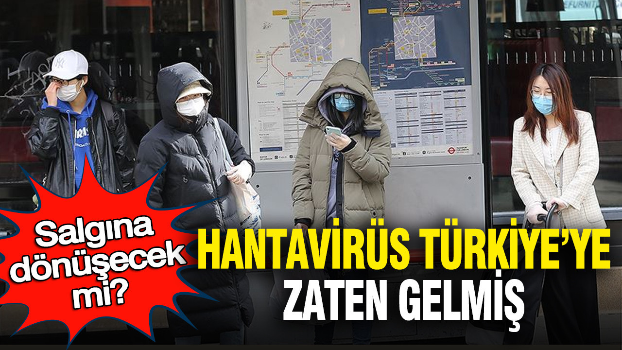 Hantavirüs Türkiye’de Görüldü: Salgın Tehlikesi Var Mı?