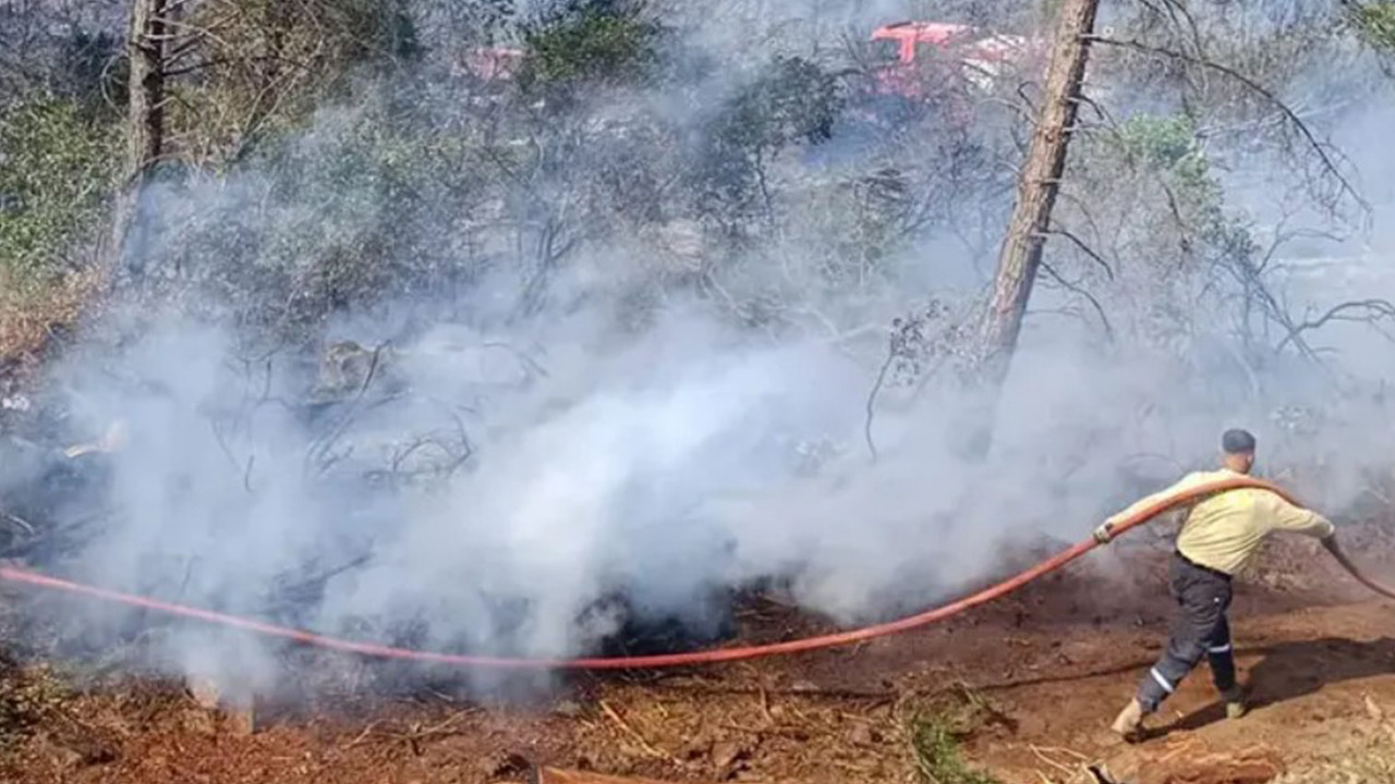 hatayda-orman-yangini-a4kwRQFm.jpg