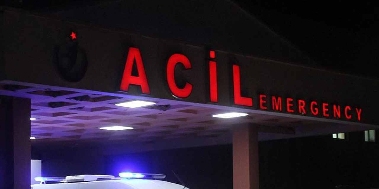 havalar-isindi-ortaya-cikti-kene-bir-can-daha-aldi-ISVGj5Px.jpg