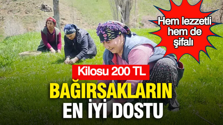 hem-lezzetli-hem-de-sifali-bagirsaklarin-en-iyi-dostu-kilosu-200-tl-RVtJKQpL.jpg