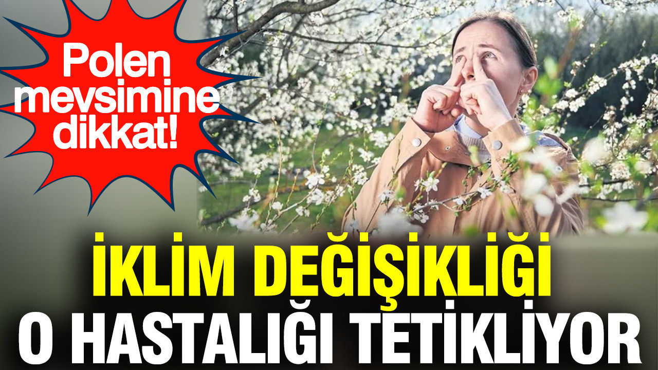 iklim-degisikligi-o-hastaligi-tetikliyor-polen-mevsimine-dikkat-m6fAJB8X.jpg