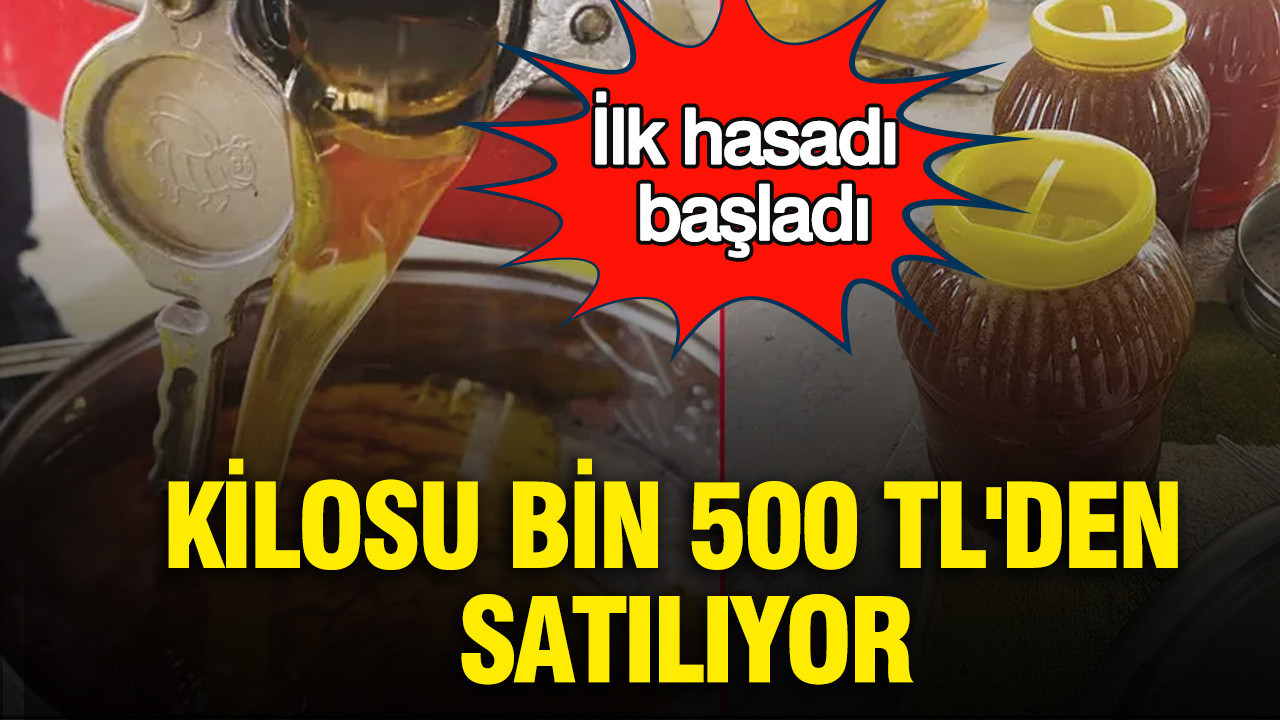 ilk-hasadi-basladi-kilosu-bin-500-tlden-satiliyor-B8mJMFtk.jpg