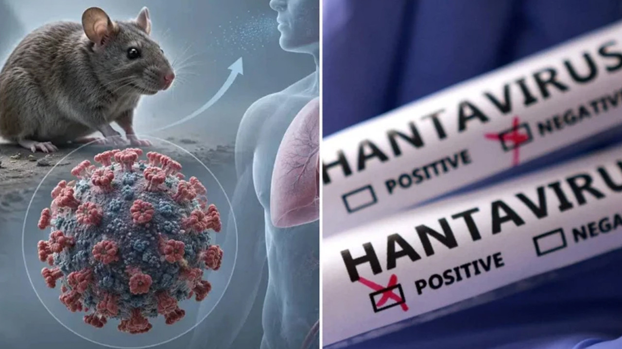ingiltereden-hantavirus-hamlesi-10-kisi-karantinada-3rnDhsO4.jpg