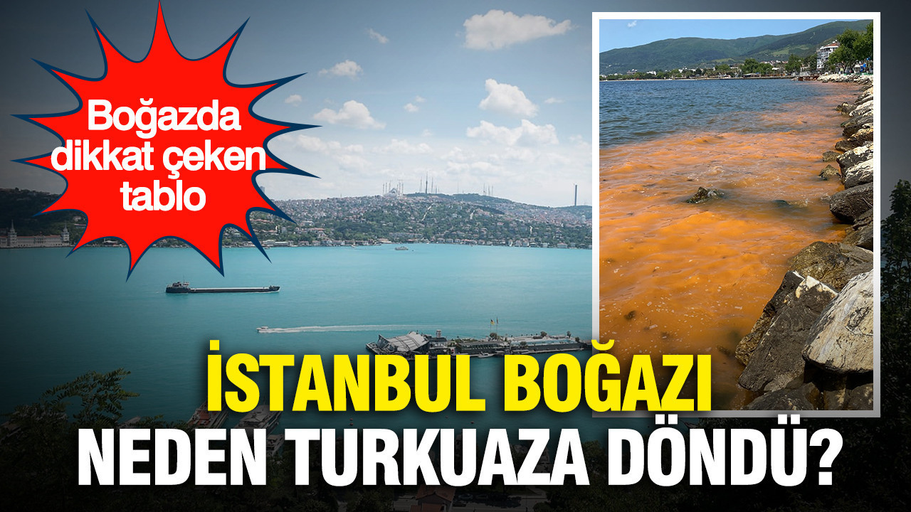 istanbul-bogazi-neden-turkuaza-dondu-arkasindaki-gercek-sasirtti-JLlJmYav.jpg