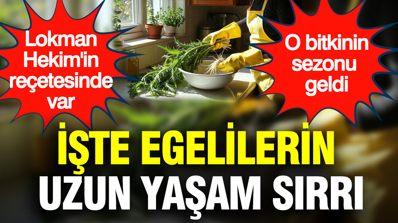 iste-uzun-yasam-sirri-lokman-hekimin-recetesinde-var-94f9qZC1.jpg