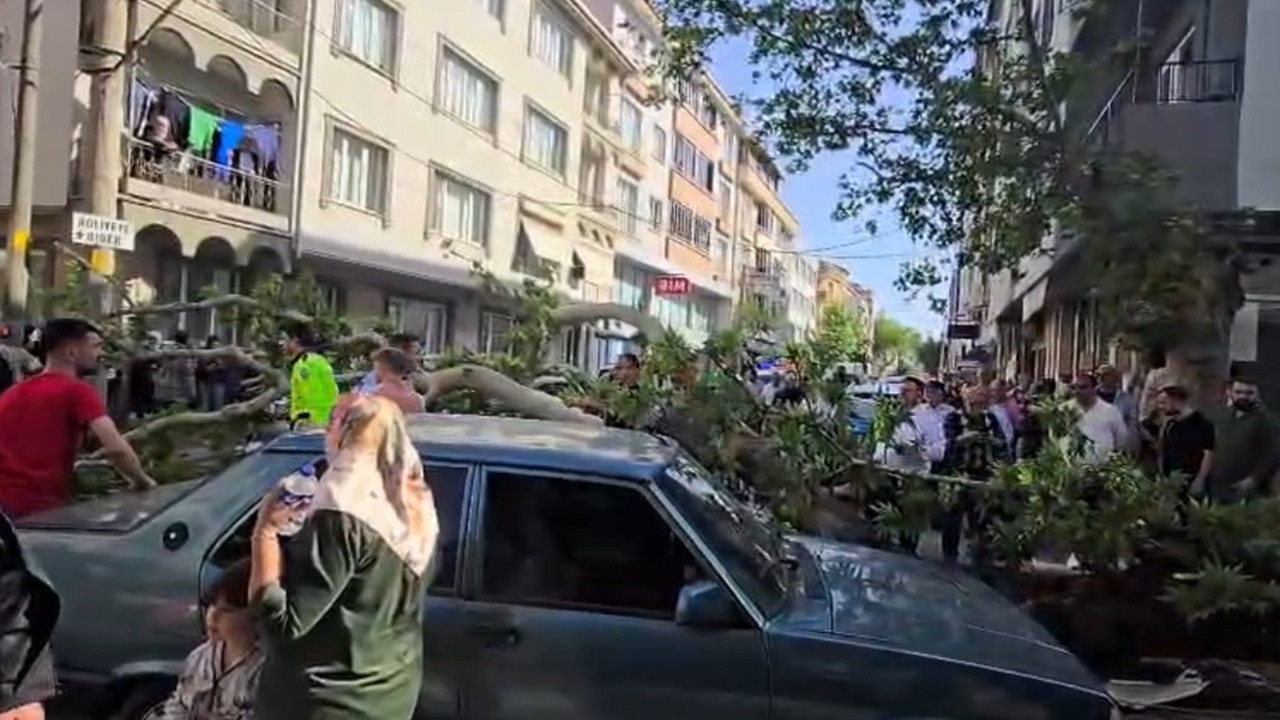 karacabeyde-korku-dolu-anlar-devrilen-agac-araclarin-ve-motosikletin-uzerine-devrildi-ZEFuqabr.jpg