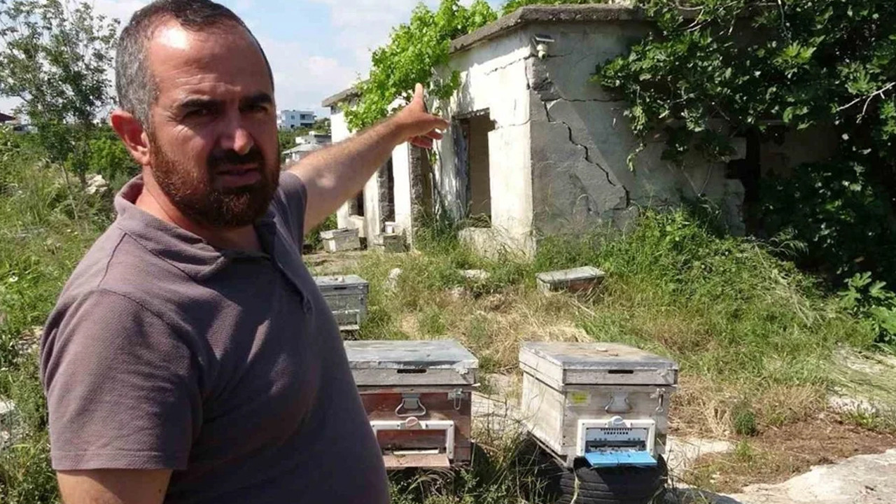kastamonuda-sekerkoy-projesi-hayata-gecirildi-FtWlzHUL.jpg