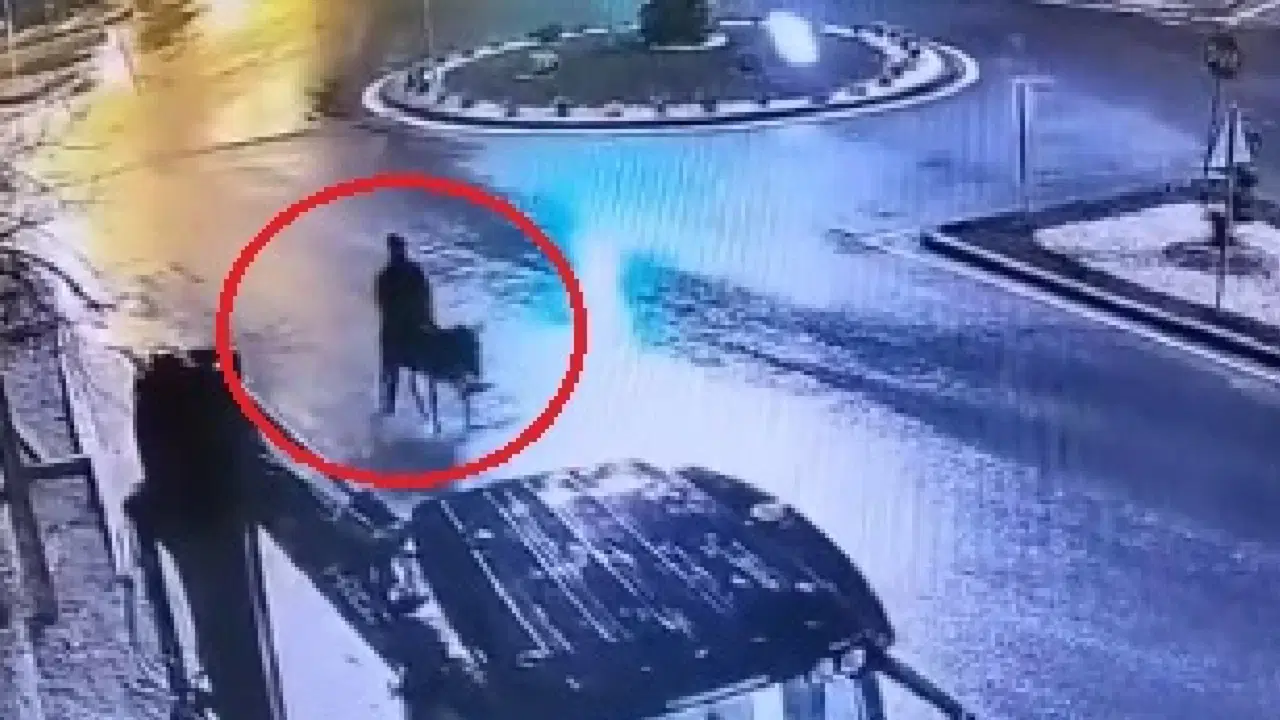 kayseride-esekli-kuyumcu-soygunu-davasinda-yeni-gelisme-meWjp8K9.jpg