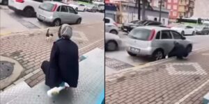 kedinin-suratina-yag-cozucu-sikti-vicdansiz-kadin-gozaltina-alindi-2LqVTqj8.jpg