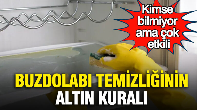 kimse-bilmiyor-ama-cok-etkili-buzdolabi-temizliginin-altin-kurali-Edb7ptLa.jpg