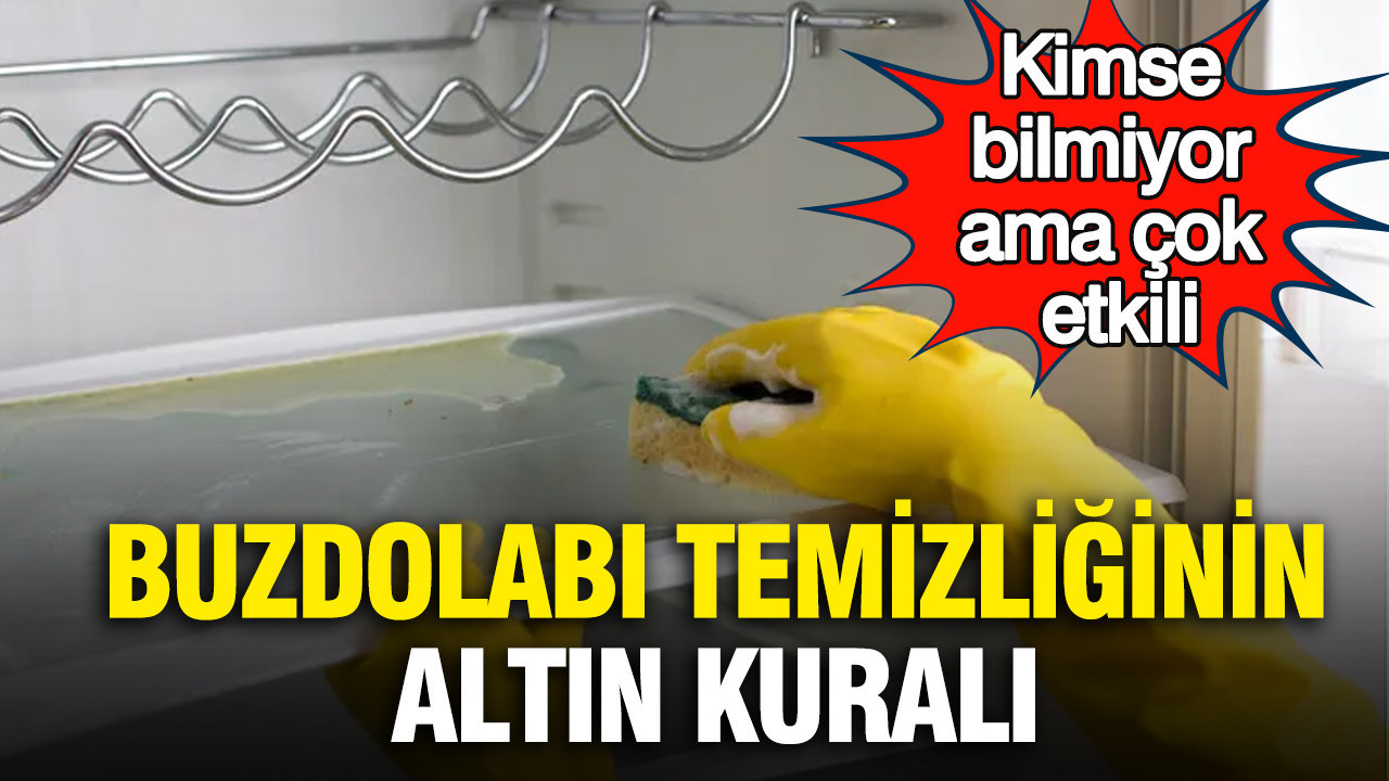 kimse-bilmiyor-ama-cok-etkili-buzdolabi-temizliginin-altin-kurali-Edb7ptLa.jpg