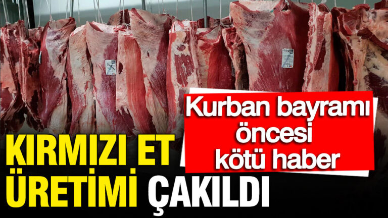 kirmizi-et-uretimi-cakildi-tuikten-kurban-bayrami-oncesi-kotu-haber-4MZGJ4ag.jpg