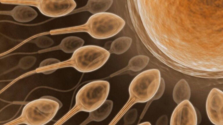 kisirlik-tedavisinde-yeni-teknoloji-yapay-zekayla-sperm-bulunuyor-BUSejR59.jpg
