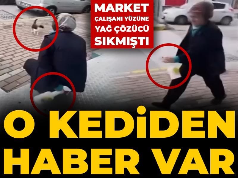 market-calisani-yuzune-yag-cozucu-sikmisti-o-kediden-haber-var-FVlc68ZJ.jpg