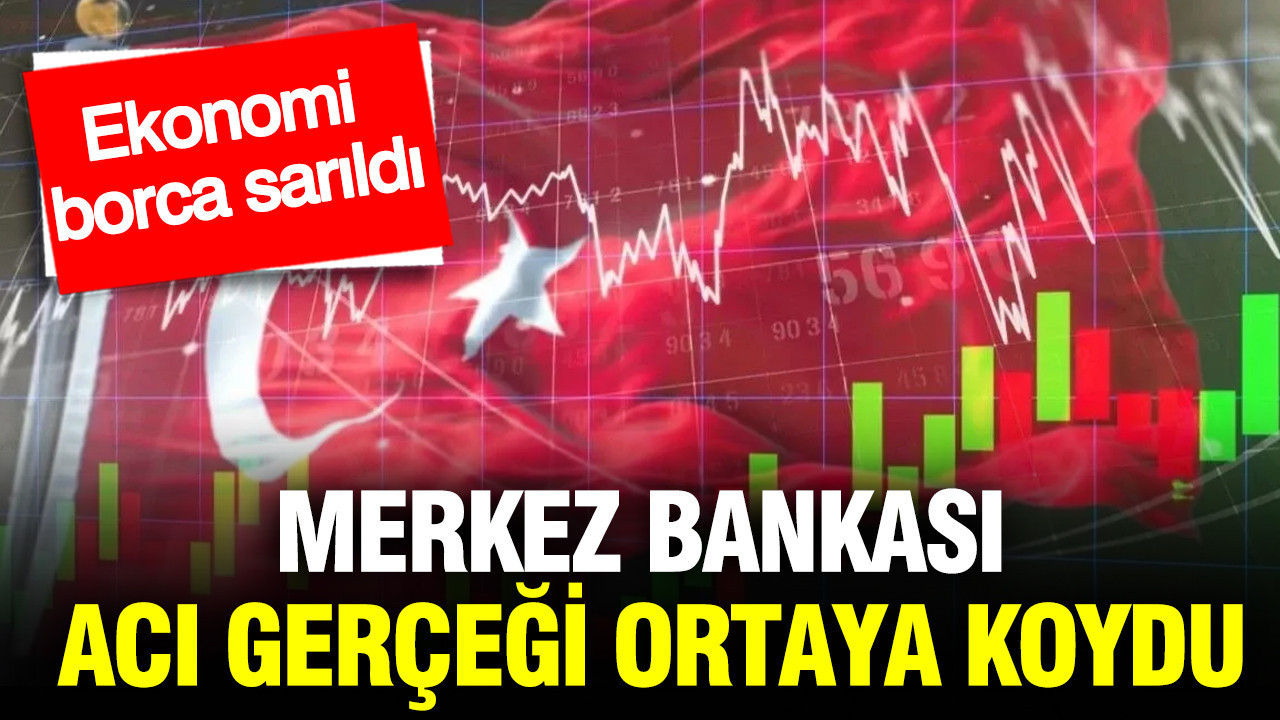 merkez-bankasi-aci-gercegi-ortaya-koydu-ekonomi-borca-sarildi-ETXGIQQO.jpg