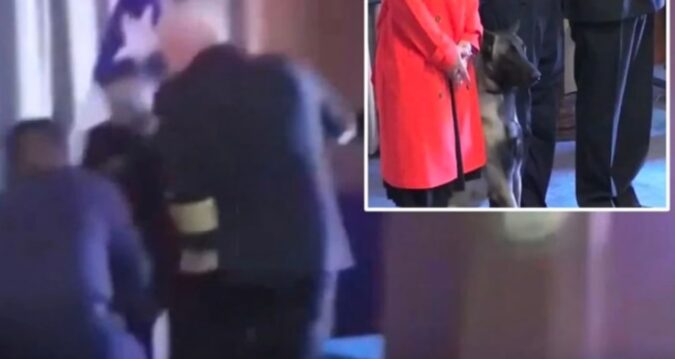 Narkotik köpeği tümamirale saldırdı: Cebinde ne vardı?