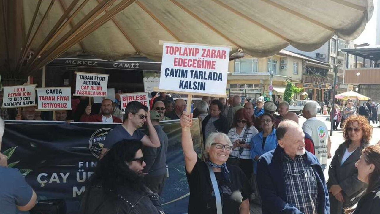 rize-findiklida-cay-ureticilerinden-35-tllik-fiyat-kararina-sert-tepki-bjSMVvJu.jpg