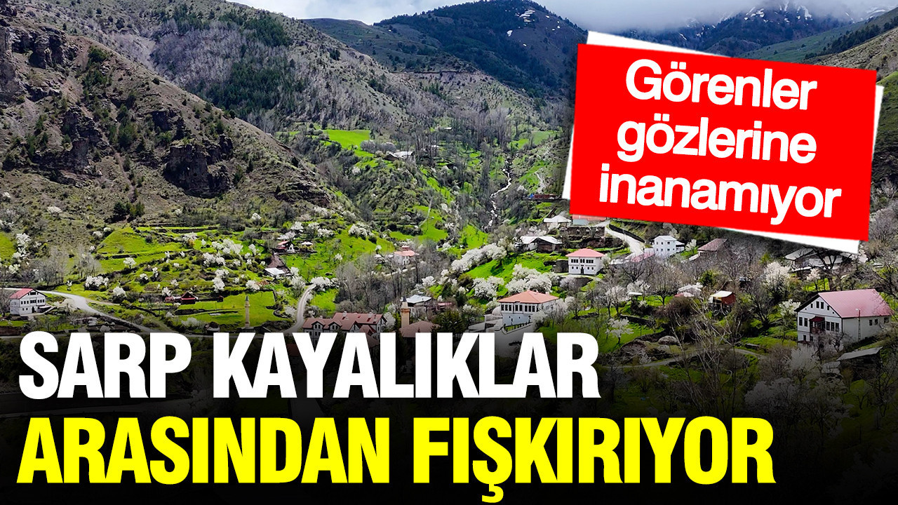 sarp-kayaliklar-arasindan-fiskiriyor-gorenler-gozlerine-inanamiyor-sfFRELyj.jpg