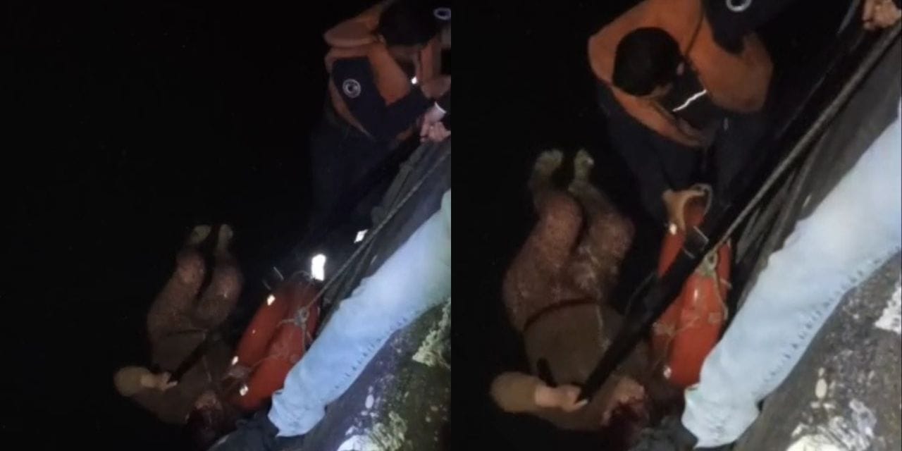 Seyhan Nehri'nde Düşen Kadın İtfaiye Ekiplerince Kurtarıldı