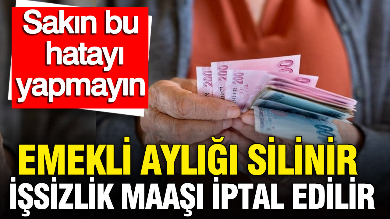 sgk-uyardi-emekli-ayligi-silinir-issizlik-maasi-iptal-edilir-sakin-bu-hatayi-yapmayin-fNLYLkO8.jpg