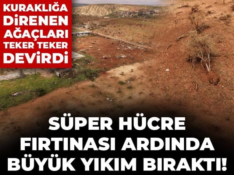 super-hucre-firtinasinin-yikimi-zam-olarak-donecek-antep-fistiginda-kotu-haberi-verdi-p4kNMVVV.jpg