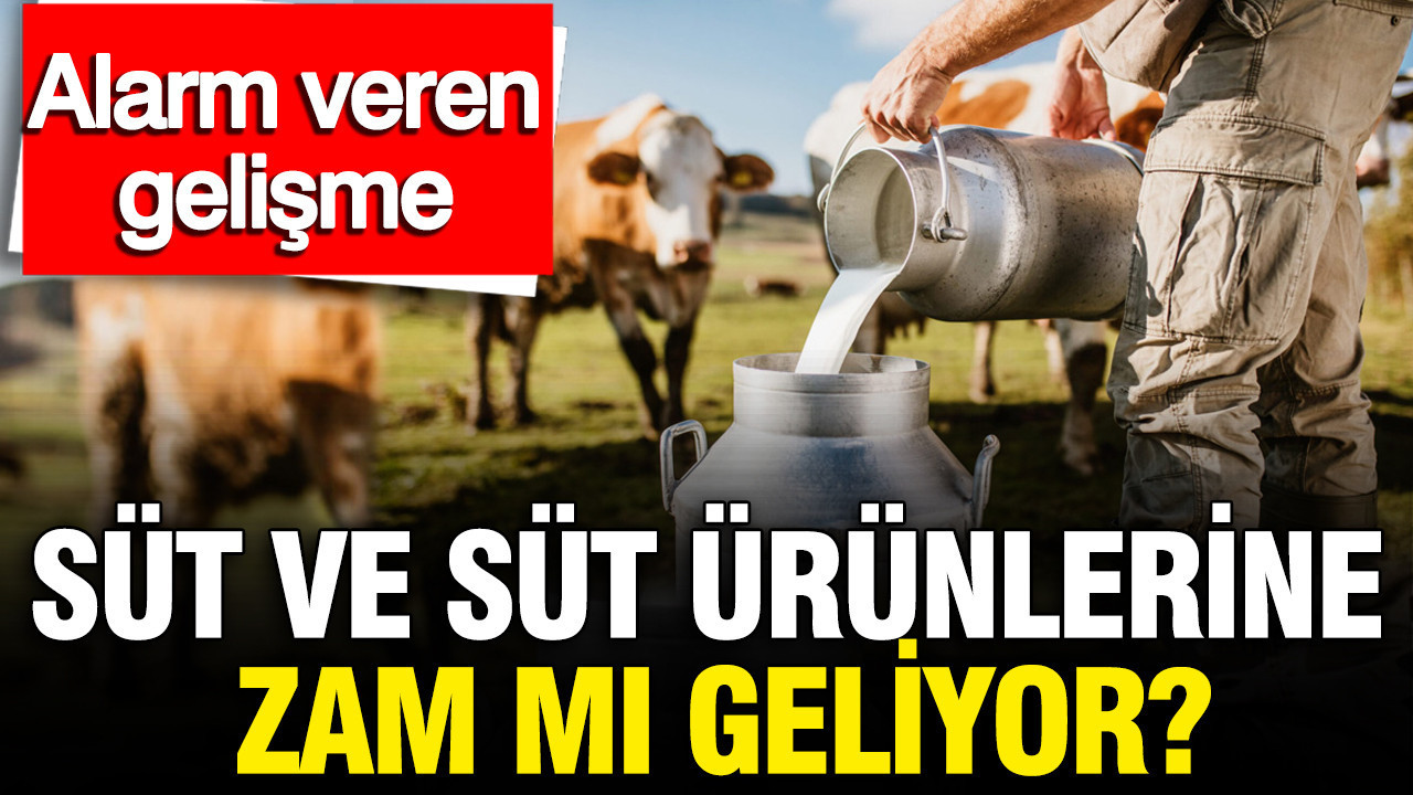 sut-ve-sut-urunlerine-zam-mi-geliyor-uretimdeki-sert-dusus-alarm-veriyor-SgUnEFhJ.jpg