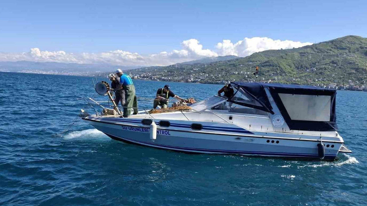 trabzonda-3-bin-metrelik-kacak-aga-el-konuldu-yMNv9VTH.jpg