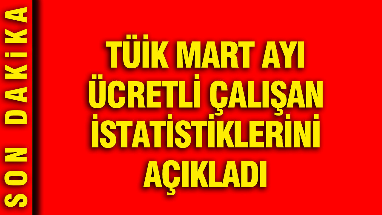 tuik-mart-ayi-ucretli-calisan-istatistiklerini-acikladi-qkqQSLIt.jpg