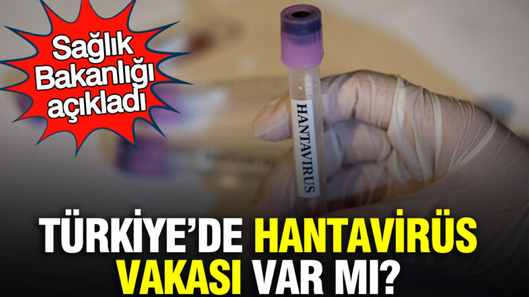 turkiyede-hantavirus-vakasi-var-mi-saglik-bakanligi-acikladi-khJmVBp3.jpg