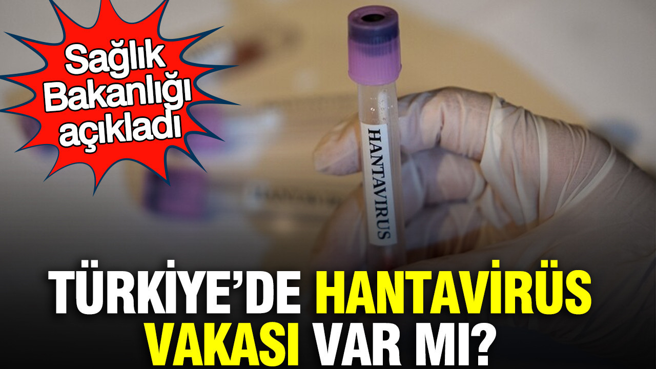 turkiyede-hantavirus-vakasi-var-mi-saglik-bakanligi-acikladi-khJmVBp3.jpg