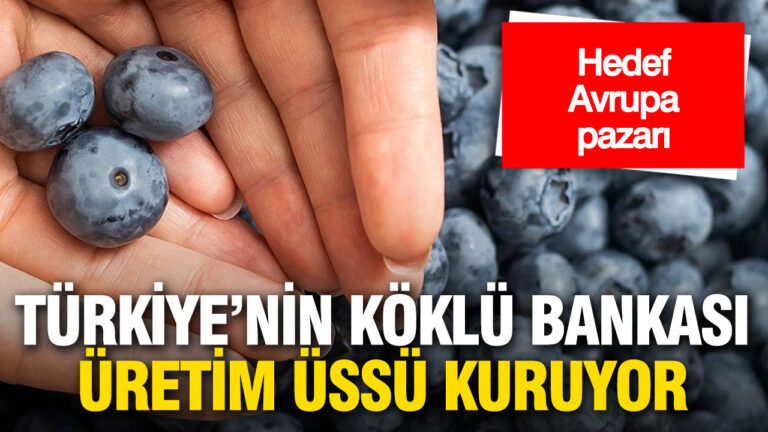 turkiyenin-koklu-bankasi-yuksek-teknolojili-uretim-tesisi-kuruyor-jy44XsTv.jpg