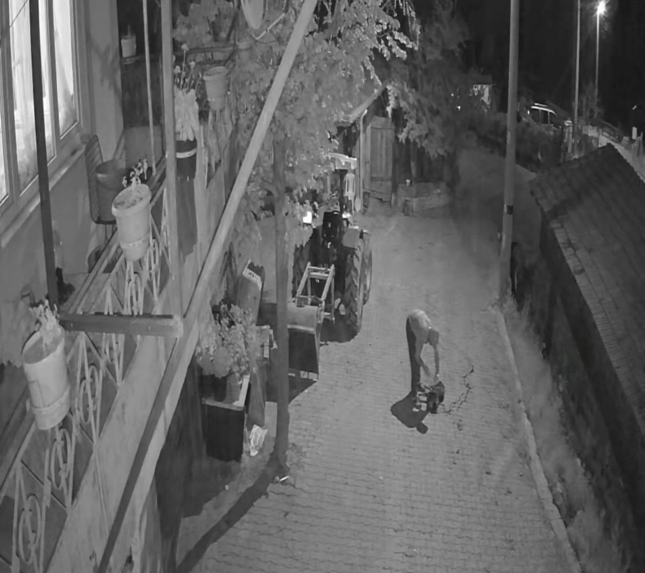 İzmit'te Köpeğe Yapılan Vahşet: Demir Sopayla Saldırı Anları Kaydedildi