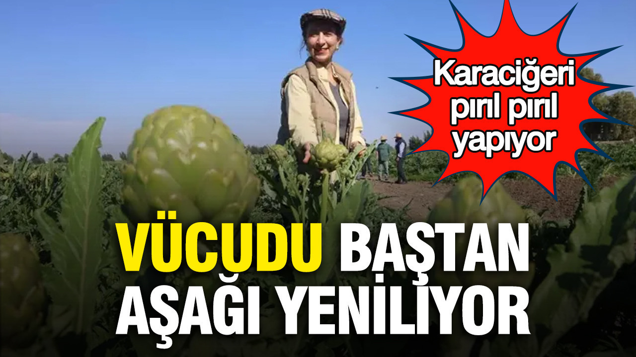 vucudu-bastan-asagi-yeniliyor-karacigeri-piril-piril-yapiyor-9kmp22XF.jpg