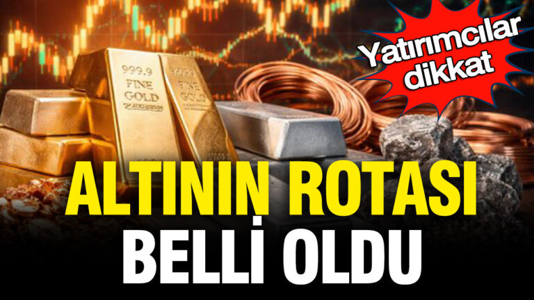 yatirimcilar-dikkat-altinin-rotasi-belli-oldu-DqMj682Z.jpg