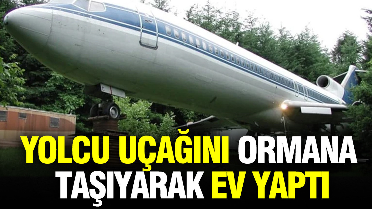 Uçak Dönüşümü: Ormanda Yaşam Alanı Haline Gelen Boeing 727
