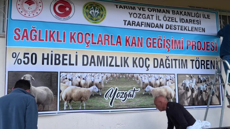 yozgatta-kucukbas-hayvancilikta-verimi-artiracak-kan-degisimi-projesi-basladi-gUjNBSs6.jpg