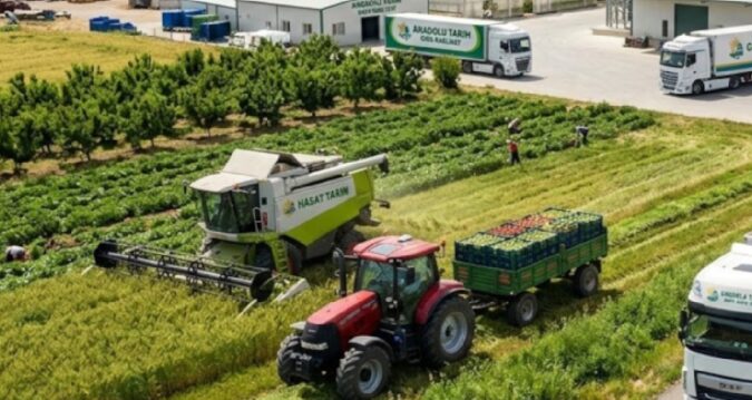 75 milyon lira sermaye ile kurulan Türk tarım şirketi iflas etti