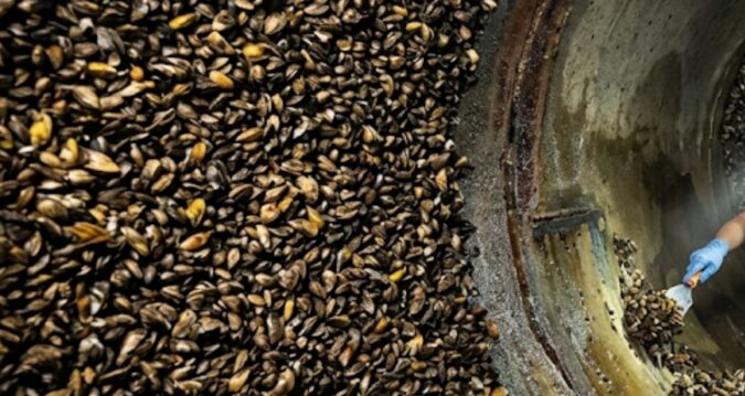 Gözle görünmeyen canavarlar boruların içini kaplıyor: Çözene tam 9 milyon lira verilecek