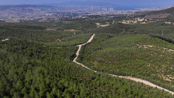 İzmir’de ormana girmek 31 Ekim’e kadar yasak