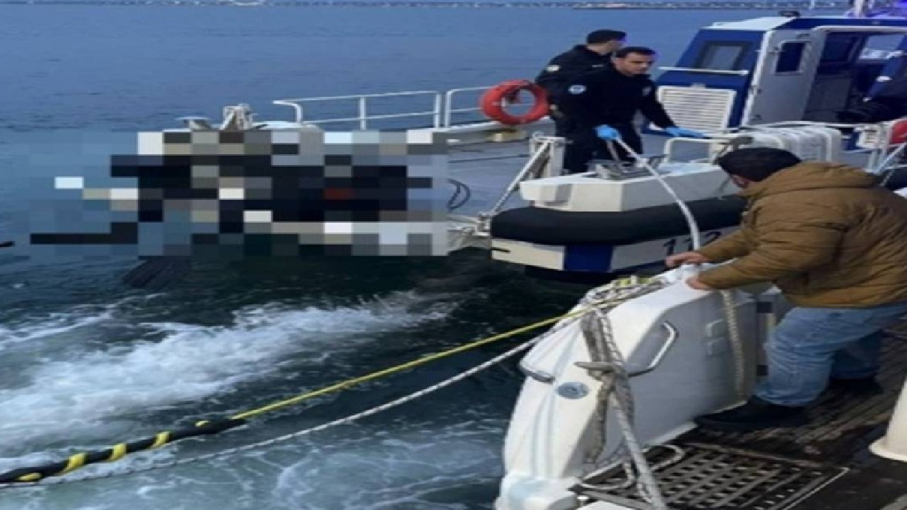Rumen dalgıcın cesedinin sırrı çözüldü: Gemideki uyuşturucu zulasının peşindeymiş!