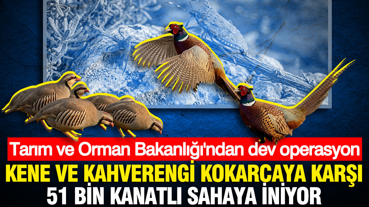 Tarım ve Orman Bakanlığı’ndan dev operasyon: Kene ve kahverengi kokarcaya karşı 51 bin kanatlı sahaya iniyor