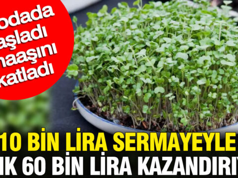 10 bin lira sermayeyle aylik 60 bin lira kazandiriyor bir odada basladi maasini katladi mH4Hjnla.jpg