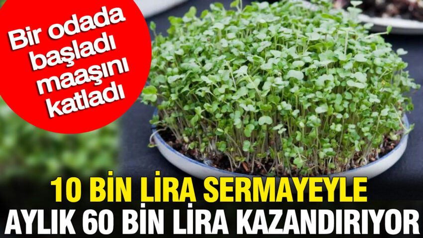 10 bin lira sermayeyle aylik 60 bin lira kazandiriyor bir odada basladi maasini katladi mH4Hjnla.jpg