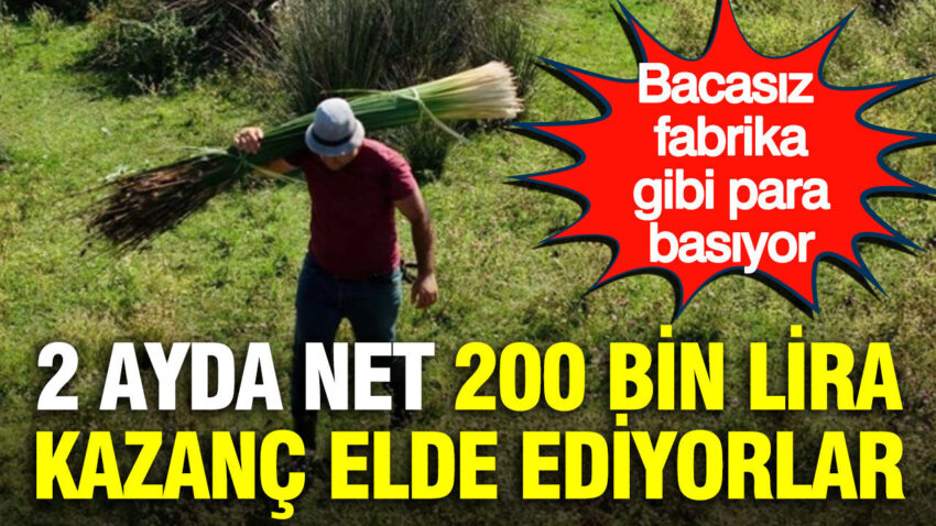 2 ayda net 200 bin lira kazanc elde ediyorlar bacasiz fabrika gibi para basiyor l6mg2IVV.jpg