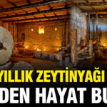2 bin yillik zeytinyagi tesisi yeniden hayat buldu fwRJRLpW.jpg
