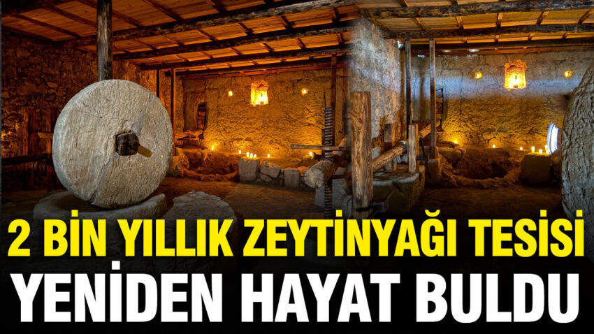 2 bin yillik zeytinyagi tesisi yeniden hayat buldu fwRJRLpW.jpg