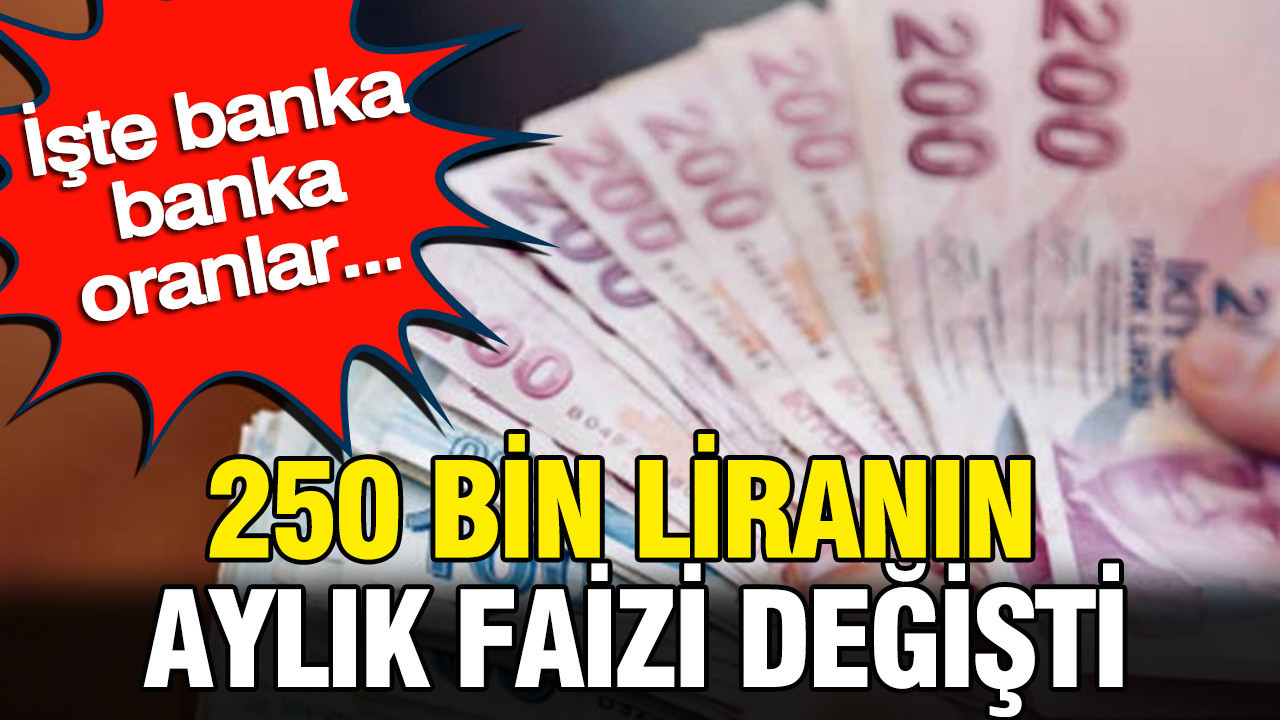 250 bin liranın aylık faizi uçtu: İşte banka banka oranlar…