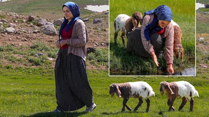 3 bin 300 rakımlı yaylada sıra dışı dostluk: Nereye gitsem benim peşimde