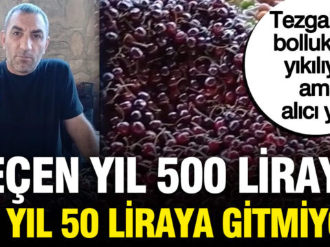 35 yillik esnaf isyan etti gecen yil kilosu 500 liraydi bu yil 50 liraya IeKlcgSm.jpg